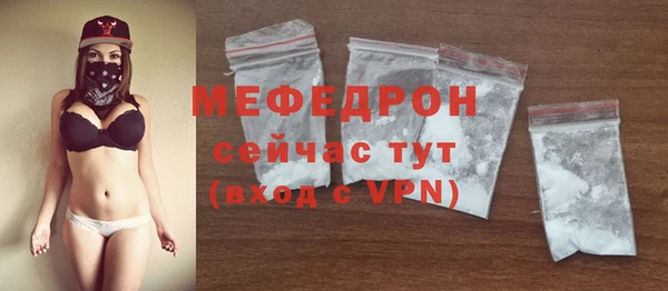 молекула духа Снежногорск