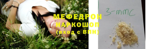 молекула духа Снежногорск
