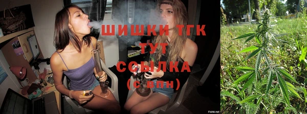 молекула духа Снежногорск