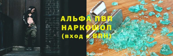 молекула духа Снежногорск