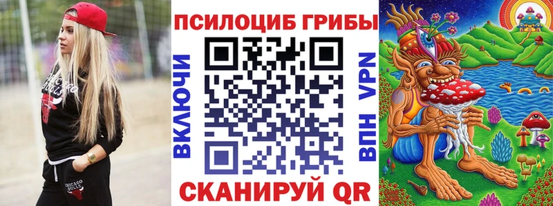 Псилоцибиновые грибы MAGIC MUSHROOMS  ссылка на мегу маркетплейс  Аркадак 
