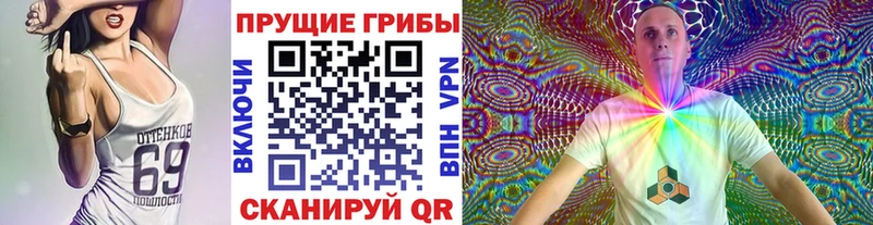 Галлюциногенные грибы Psilocybine cubensis Аркадак